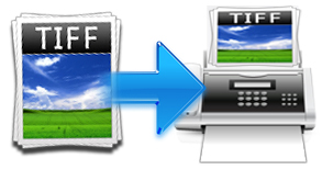 Support multiple output image formats