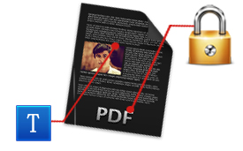 Protect PDF and edit PDF description