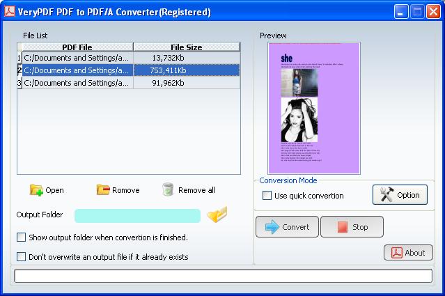main interface of PDF to PDF/A-1b Converter