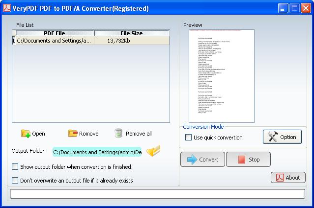 Interface of PDF to PDF/A Converter