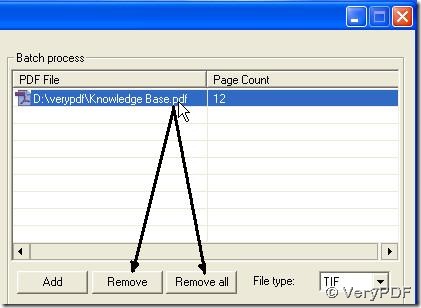 optionally remove PDF path