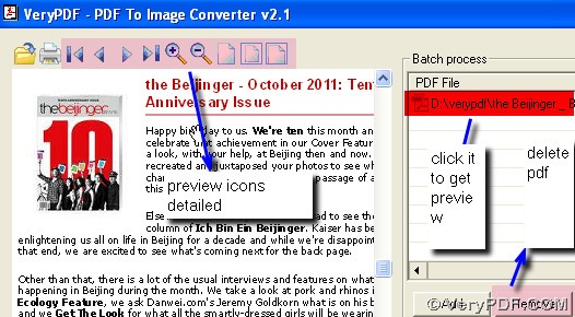 In PDF To Image Converter, what is the default DPI and what is the