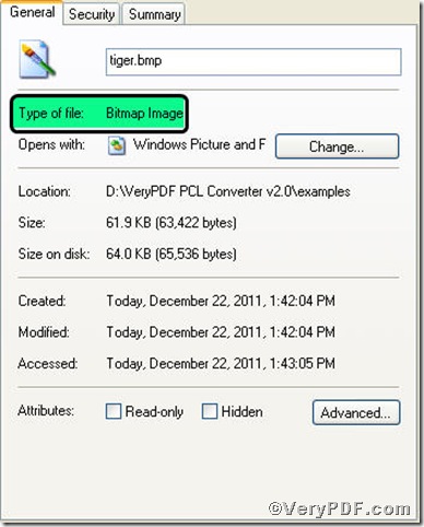 bitmap file 