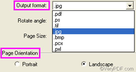 set options to  convert PRN to JPG and set page orientation