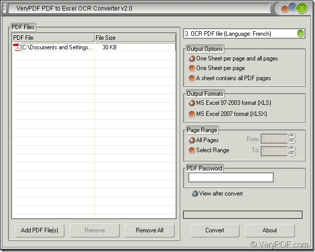 convert image PDF to Excel in PDF to Excel OCR Converter