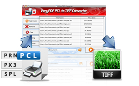 Various input print file formats