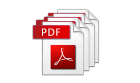 Batch process to deal with multiple PDF files
