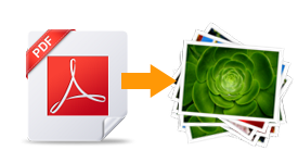 Convert PDF to multiple image formats