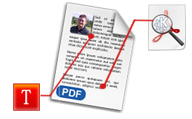 Display and edit PDF description