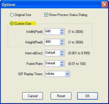 SWF to GIF Animation Converter option menu snapshot