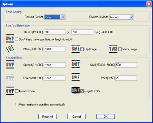 Interface after the conversion from SWF to image