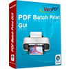 PDF Batch Print GUI