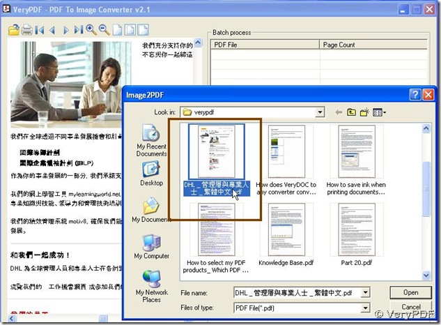 click Add to add PDF file into processing form