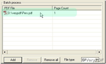 added PDF shown in PDF path in processing table