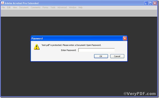 window for inputting password of output pdf file