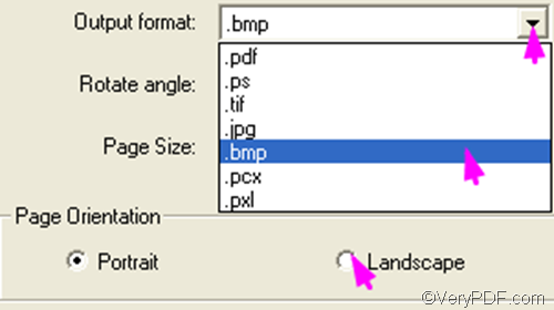 set options to convert PXL to BMP and set page orientation