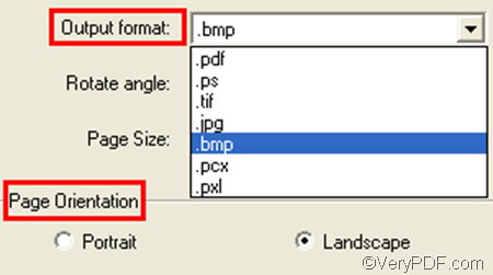 set options to convert PRN to BMP and set page orientation