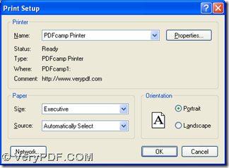 select "PDFcamp Printer" on print setup panel and click "Properties"