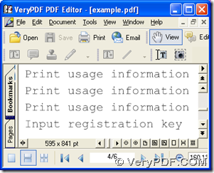 PDF file is opened in PDF editor