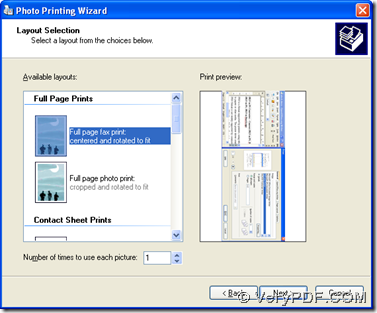 select layout of PDF and click "Next"