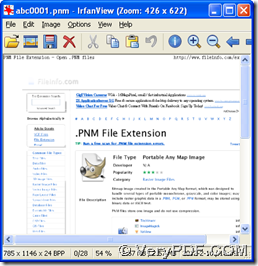 open PNM file and click "Ctrl + P"