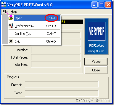 open pdf document in PDF2Word interface
