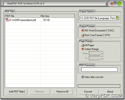 interface of PDF to Word OCR Converter in order to recognize Portuguese Words from scanned PDF