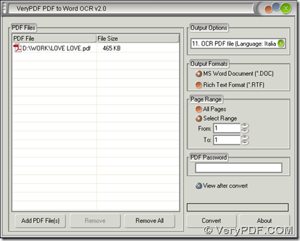 interface of PDF to Word OCR Converter for conversion of scanned PDF to Word