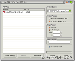 interface of PDF to Word OCR Converter for conversion of PDF to Word  on scanned PDF to get specified pages converted