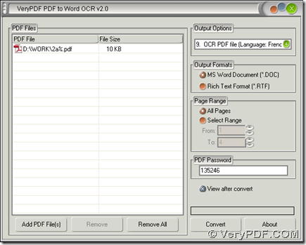 interface of PDF to Word OCR Converter for conversion of encrypted PDF to Word with OCR technology