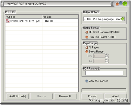 interface of PDF to Word OCR Converter