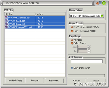 interface of PDF to Word OCR Converter for conversion of scanned PDF to Word in batches