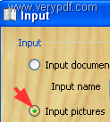 input image