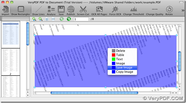 Select rectangle as image and save image as during converting  PDF to document