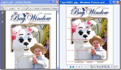 Input PDF and output image