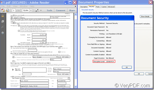 Output PDF and document security