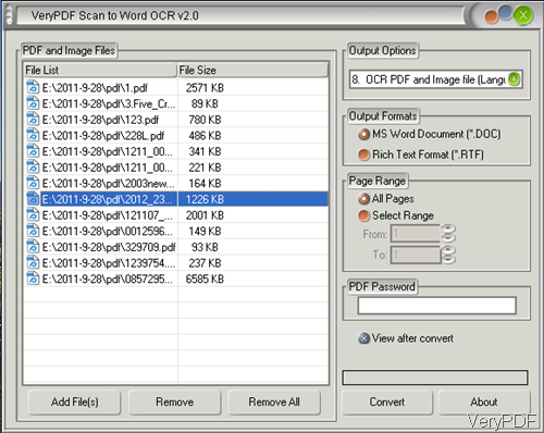 software interface of Scan to Word OCR Converter