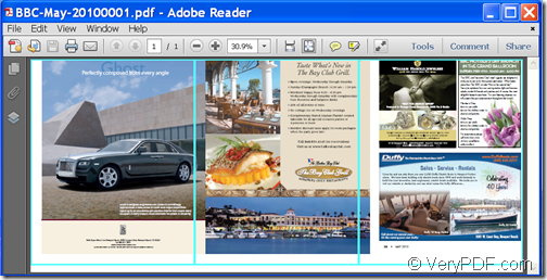 merged PDF page