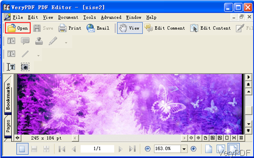 software interface of PDF Editor