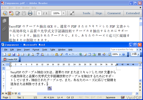 input PDF and output word document