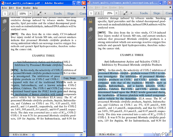 input image PDF and output searchable PDF