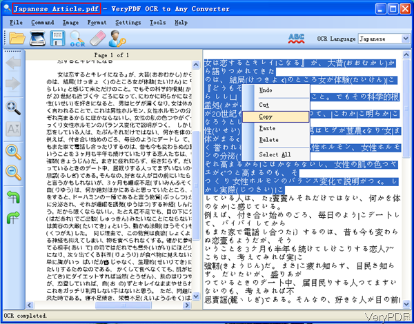 translate PDF in Japanese