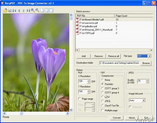 software interface of PDF to image Converter