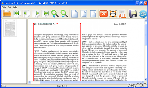 software interface of PDF crop